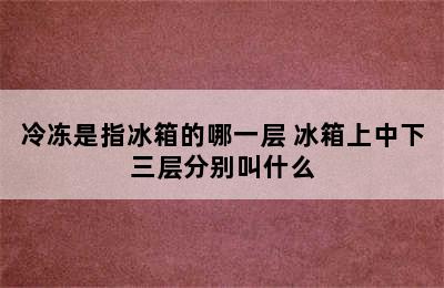 冷冻是指冰箱的哪一层 冰箱上中下三层分别叫什么